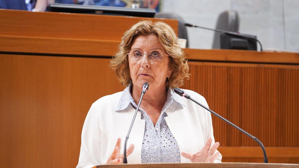La consejera de Ciudadanía y Derechos Sociales, María Victoria Broto, este viernes en las Cortes de Aragón.