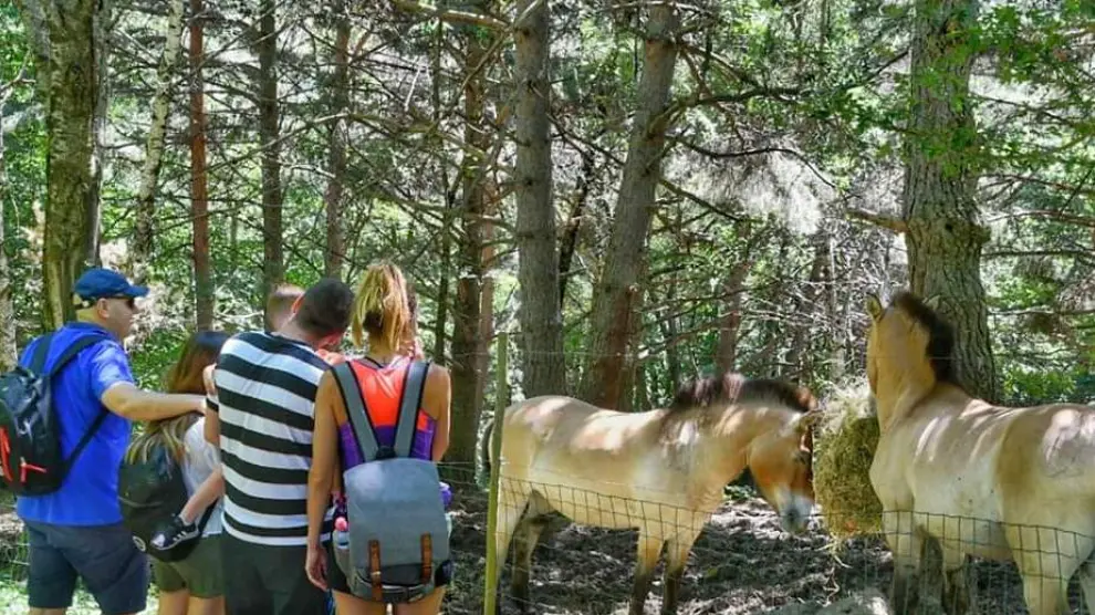 Visitantes en el parque de Lacuniacha.