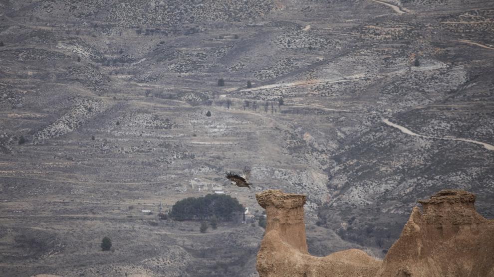 Cárcavas de Morata de Jiloca: vista del 'camello'.