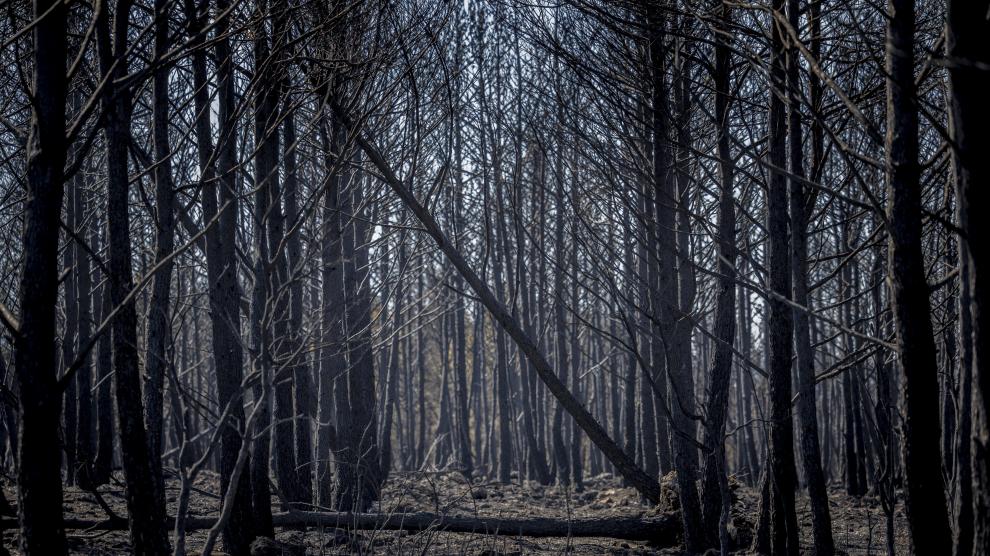 Bejís (Castellón) tras el incendio forestal que ha calcinado 19.000 hectáreas.