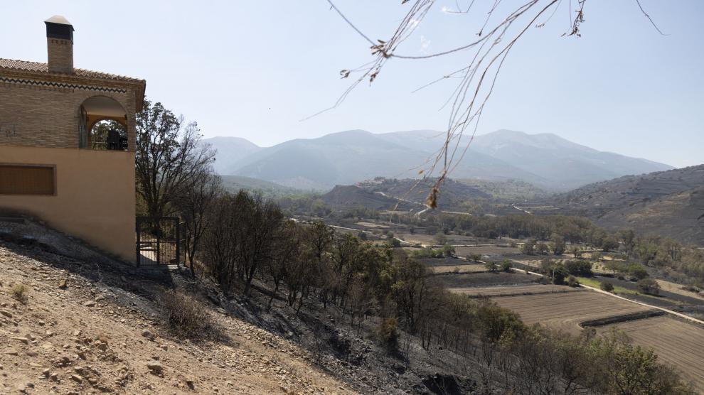 Una zona calcinada por el incendio del Moncayo, frente a una casa rural en Alcalá.