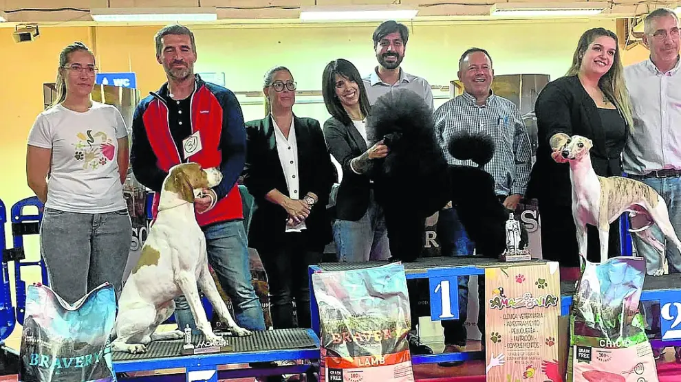 Ganadores del VI Concurso Nacional de Belleza Canina “Ciudad de Monzón”.
