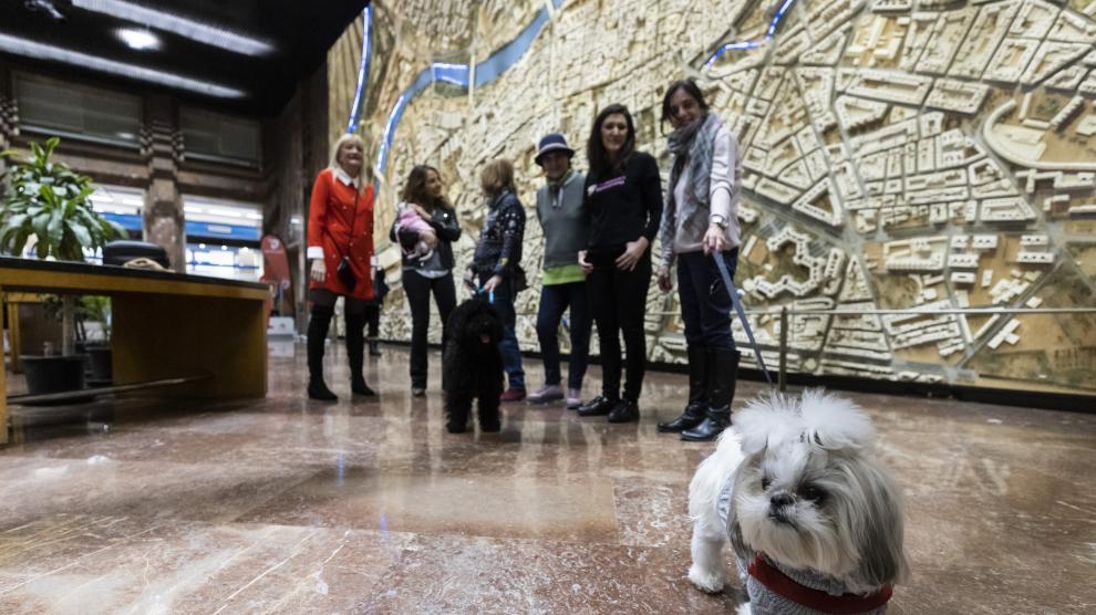 El Ayuntamiento de Zaragoza ya es 'pet friendly'