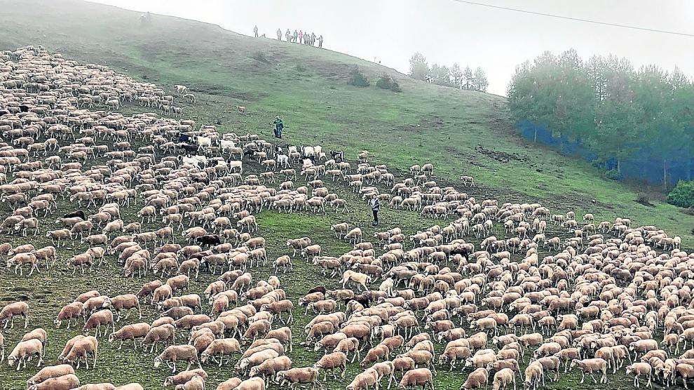 La universidad trashumante cumple diez años