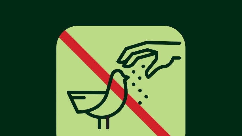 El Ayuntamiento de Zaragoza advierte sobre la importancia de no alimentar a las aves.