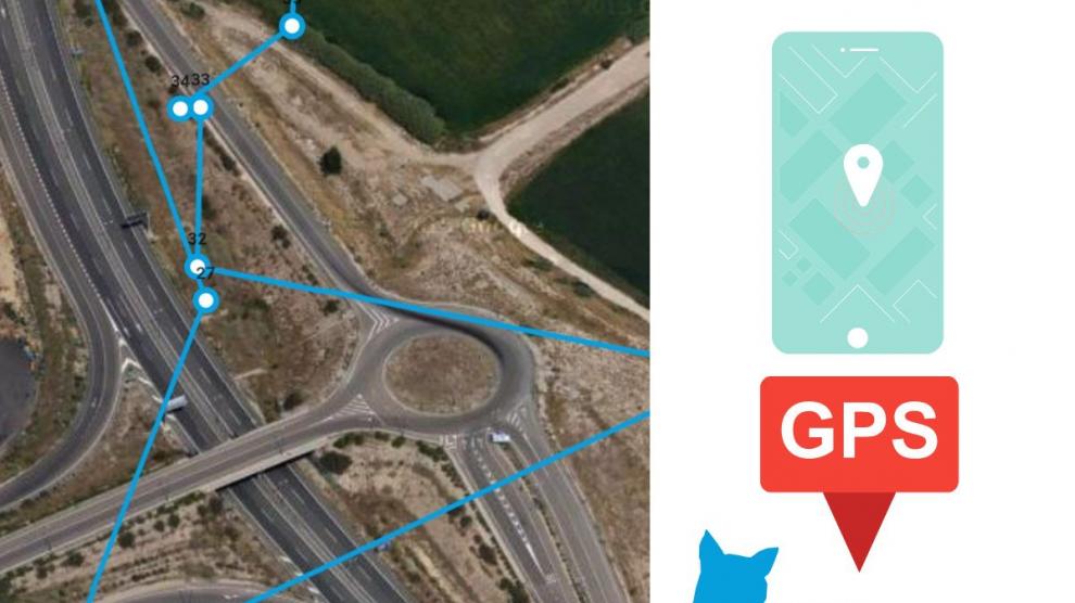 El animal fue liberado hace once días y ya ha cruzado varias veces la autopista.