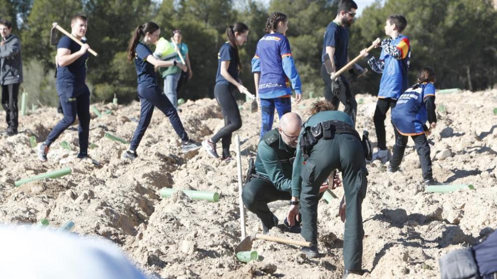 Plantación en el Bosque de los Zaragozanos de San Gregorio por miembros del Ejército, la Policía Nacional y los Scouts y sus familias.