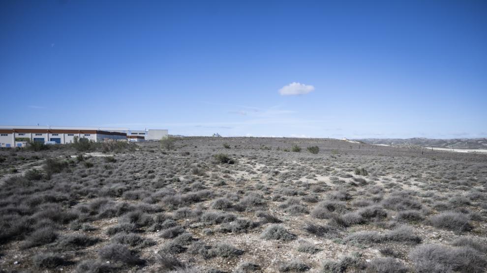 Suelos de Empresarium donde se ubicará la planta fotovoltaica.