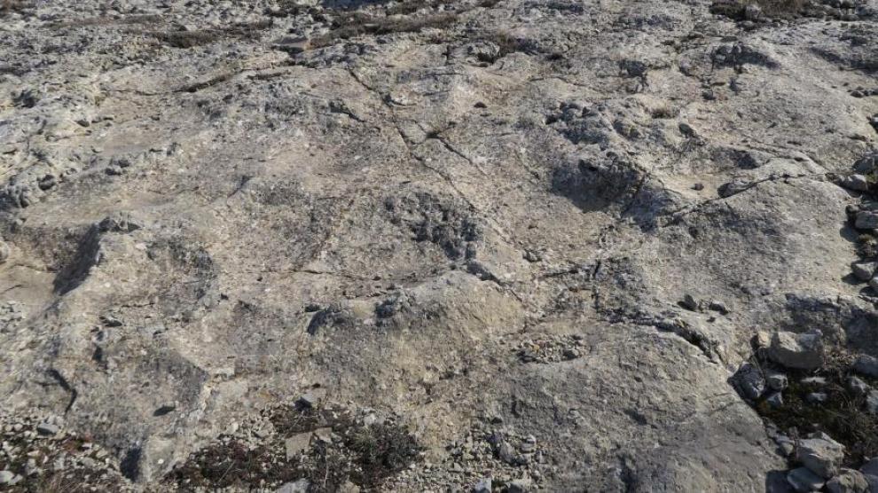 Huellas de dinosaurios saurópodos ubicadas en el yacimiento “Antena”, en Cedrillas (Teruel)
