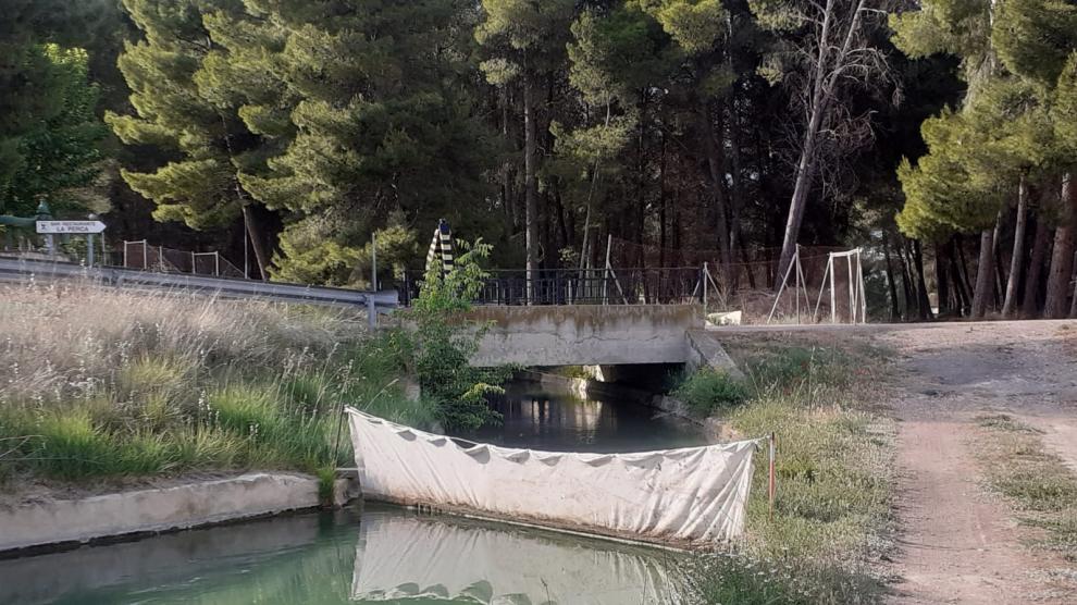 La primavera vuelve a llenar de corzos ahogados los canales del Bajo Aragón