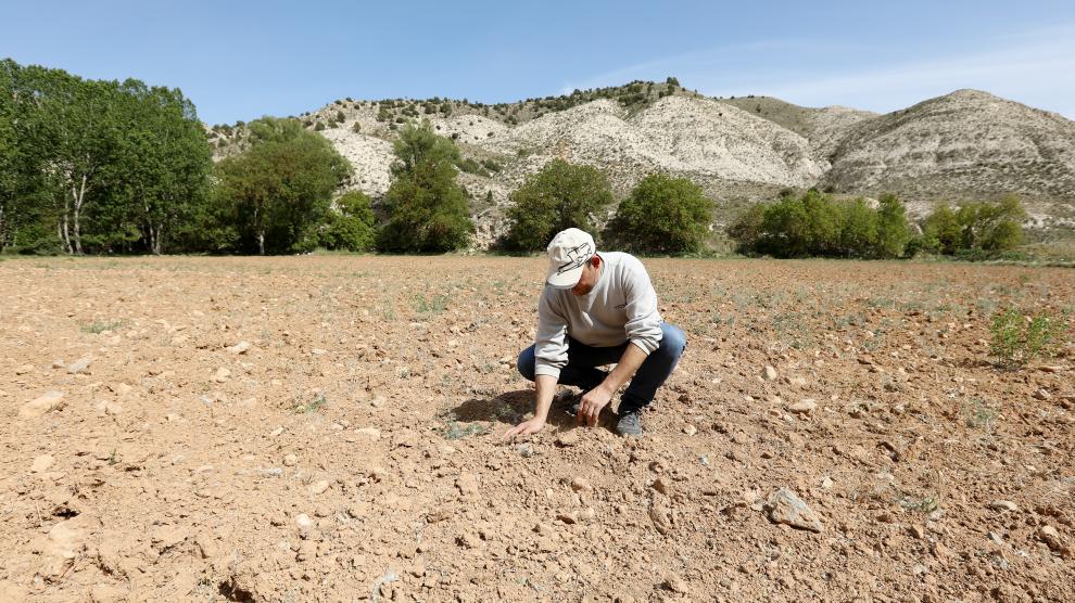 Joaquín Biel, de Villalba Baja, muestra un campo que ha quedado sin sembrar por falta de agua.