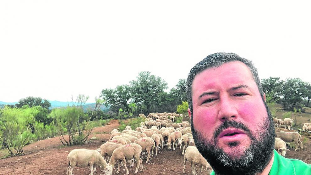 La alimentación de los rebaños trashumantes de la Sierra de Albarracín