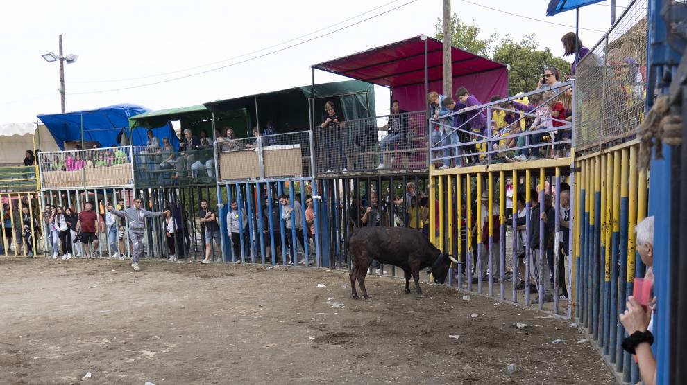 El público desde la barrera disfrutando de las vaquillas