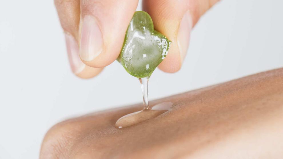 Aloe vera.