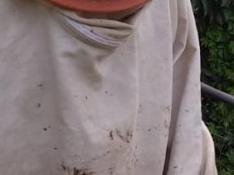 Los vecinos de las poblaciones del entorno del pantano de La Peña exigen soluciones para una plaga de mosquitos