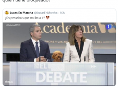 Polémica en Twitter por un meme del perro Lucas, el "arma secreta" de Rivera en el debate