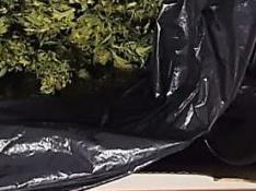 La caja de zapatos con la marihuana y la carabina que portaba en el vehículo.