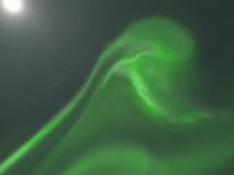 Espectaculares auroras boreales en el cielo de Laponia