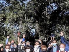Vecinos de Lecina y su entorno celebran que su carrasca milenaria haya sido elegida Árbol Europeo del Año 2021.