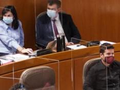 Los representantes de Aragón Stop Sucesiones, ayer en la tribuna del Parlamento.