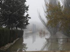 Imágenes de la crecida del Ebro, este lunes, en Novillas, Pradilla, Boquiñeni y Luceni.