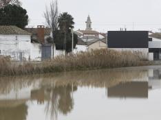 Trabajos de contención ante la crecida del Ebro en la Ribera Baja