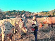 María Jesús Doñate, ganadera de equino en la provincia de Teruel, acaricia a algunos de sus caballos, que pastan casi libres.