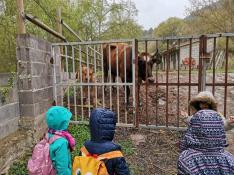 De visita a la vaca Nelly y su ternero, una de las clases del colegio de Olba la pasada semana.