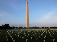 45.000 flores sembradas en la enorme explanada frente al monumento a Washington