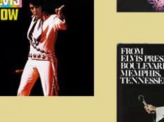 Elvis panel discos 70 copia 2