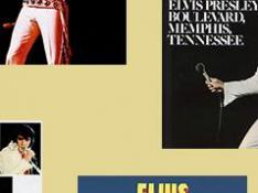 Elvis panel discos 70 copia 2