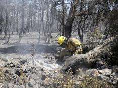 Controlado el incendio de Jaulín, Valmadrid y La Puebla de Albortón tras arder 1.670 hectáreas