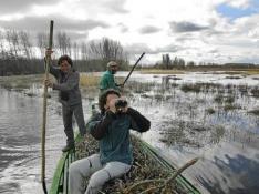 Catalogan 200 especies de aves en la laguna de Villarquemado