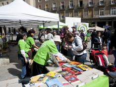 Intermón Oxfam reúne flechas contra la pobreza