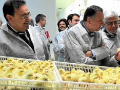 Sada instala en Sástago la incubadora de pollitos más moderna de Europa
