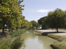 El Canal Imperial es uno de los destinos preferido por los senderistas