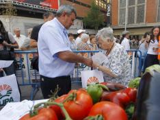 Agricultores aragoneses reparten fruta en Madrid para denunciar la crisis del sector