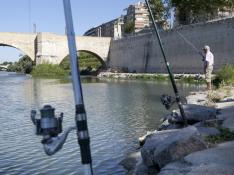 Más de mil infracciones por pesca ilegal en Zaragoza en dos años