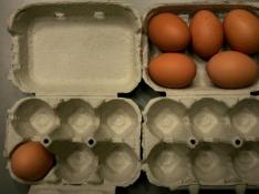 Huevos: las proteínas más completas_3