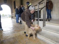 El acusado de maltratar con crueldad a un perro en Teruel niega los hechos en el juicio