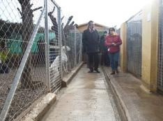 Más de 500 escolares visitan el Centro Municipal de Protección Animal de Peñaflor