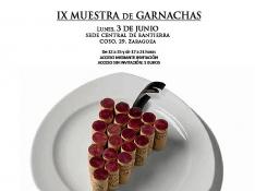 Cartel anunciador de la IX_Muestra de Garnachas.