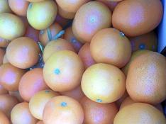 Mandarinas en uno de los puestos de cítricos que traen agricultores levantinos.