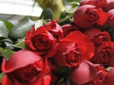 Ramos de rosas rojas naturales en San Valentín a un precio barato