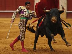 Morante no toreará a Zaragoza y será sustituido por El Cid y Daniel Luque
