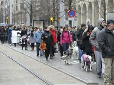 Concentración en Zaragoza para pedir el endurecimiento de las leyes contra el maltrato animal