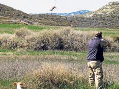Un cazador, con su perro, en plena actividad cinegética en el campo.