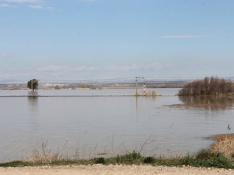 Una crecida del río Ebro