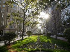 Las zonas verdes de Zaragoza comienzan a vislumbrar la primavera