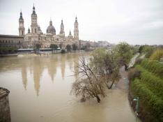 Nueva crecida del Ebro por las lluvias  e "incertidumbre" por la cantidad de cauces en repunte